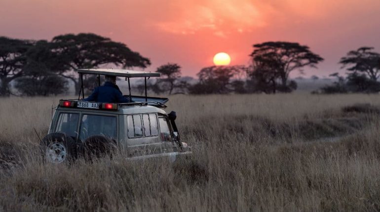 Tag på safari i Tanzania